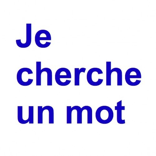 je-cherche-un-mot1-500x500