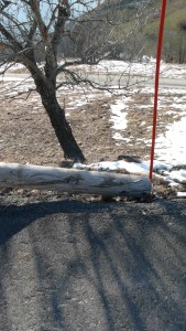 série photographique : barrière à villard reculas