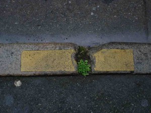 série photographique : tiret rue ménage