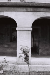 série photographique : cloître à port-royal