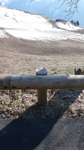 série photographique : barrière à villard reculas