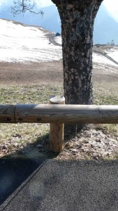 série photographique : barrière à villard reculas