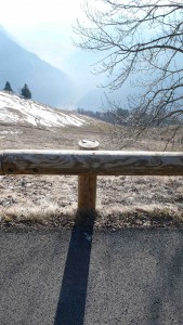série photographique : barrière à villard reculas