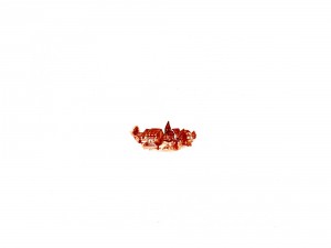 le bon gouvernement : bière météor pils