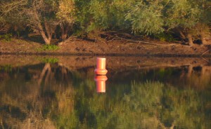 bouée rouge et son reflet
