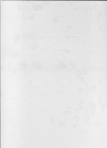 peau de peinture blanche