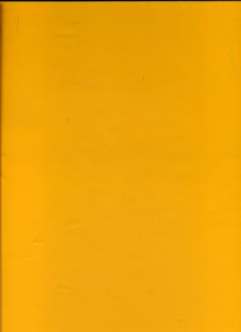 peau de peinture jaune