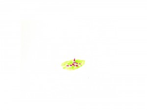 le bon gouvernement : fromage de chèvre sainte maure monoprix