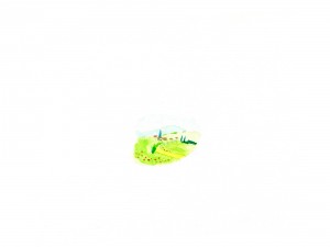 le bon gouvernement : oeufs la poule heureuse