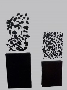 peaux de peinture noire