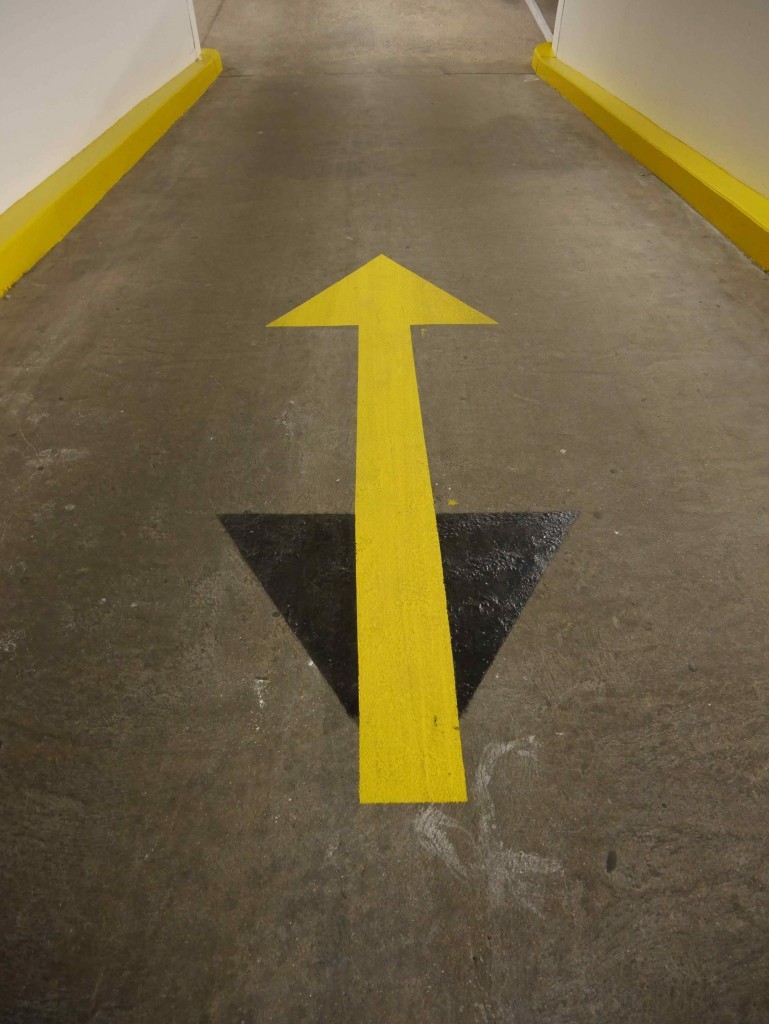 p1050535bis-769x1024