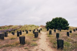 pierre regardant un escargot - photo de vacances - vue de loin