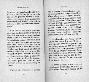 rature de samuel beckett - rature au flou