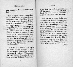 rature de samuel beckett - rature au flou