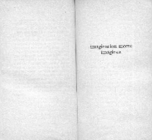 rature de samuel beckett - rature au flou