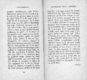 rature de samuel beckett - rature au flou