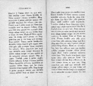 rature de samuel beckett - rature au flou