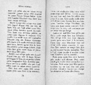 rature de samuel beckett - rature au flou