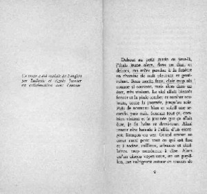 rature de samuel beckett - rature au flou