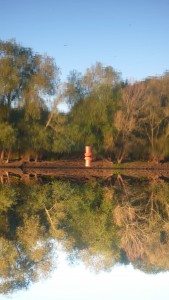 bouée et son reflet inversé