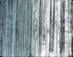 agenda dessiné : 12 et 11 janvier 2015