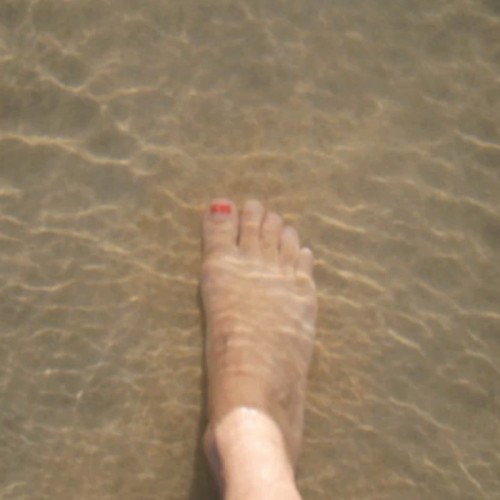 la-vie-des-pieds-500x500