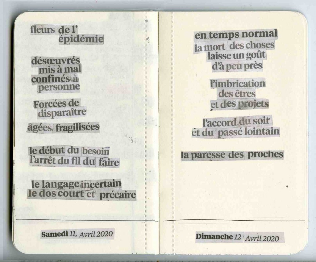 1ab.fleurs de l'épidémie-bis